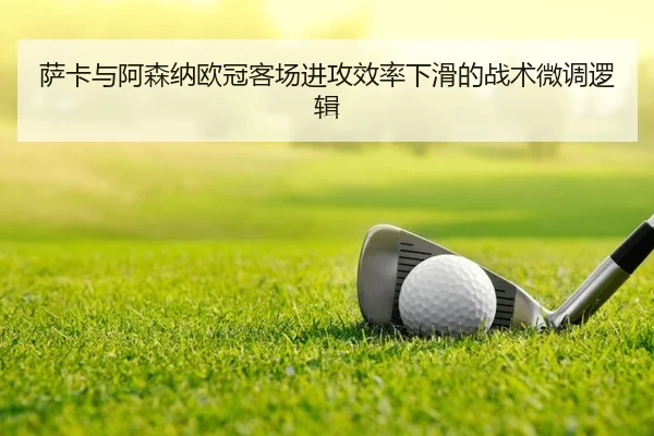 sa-ka-yu-a-sen-na-ou-guan-ke-chang-jin-gong-xiao-lv-xia-hua-de-zhan-shu-wei-diao-luo-ji-2-112.jpg